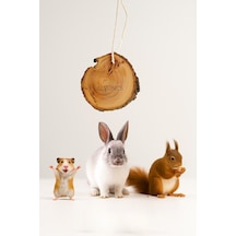 Doğal Ahşap Kemirme Oyuncağı Hamster Ve Tavşanlar İçin Sağlıklı Ve Dayanıklı Oyuncak