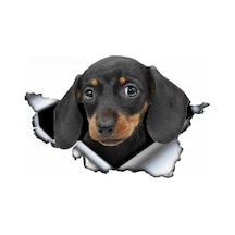 Dachshund Yırtık Deseni Araba Sticker Model2