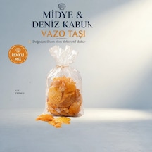 Renkli Mix Midye Deniz Kabuk Vazo Taşı 1 Kg