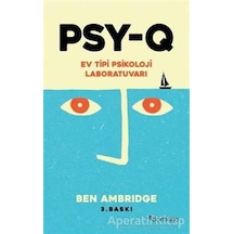 PSY-Q - Ev Tipi Psikoloji Laboratuvarı - Ben Ambridge - Domingo Yayınevi