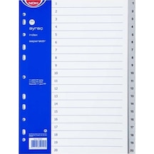 Noki 59220 Rakamlı 1-20 PP Ayraç Seperatör Mavi