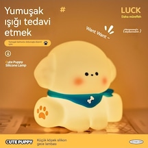 Led Patırık Ortamışığıgece Lambası-sütköpegi 1 Bh Diğer