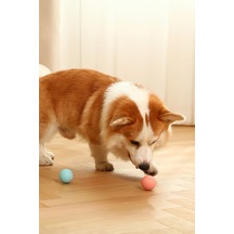 Evcil Hayvan Hareketli Kedi Köpek Oyuncağı Şarjlı Kedi Köpeğinizden Kaçar Oyuncak