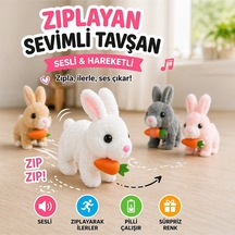 Çok Renkli
