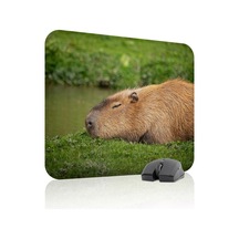 Capybara Kaymaz Dikişli Kauçuk Oyuncu Mousepad V1 - 48x40 Xl Gaming Mouse Pad Fare Altlığı