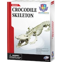 Timsah İskeleti Bilim Seti
