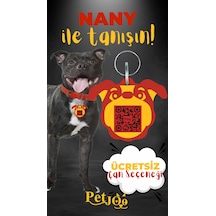 Petjoo 17.Nany Sarı-Kırmızı Qr'lı Köpek Künyesi