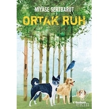 Sisin Sakladıkları - 2 Ortak Ruh - Miyase Sertbarut - Tudem Yayınları