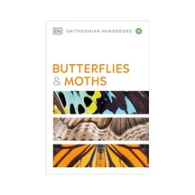 Butterflies And Moths