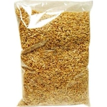 Ans Kurutulmuş Gammarus Karides Kaplumbağa ve Balık Yemi 25 G