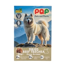 Pets And Plants Pap Dana Gırtlak Sakat Et 80 G
