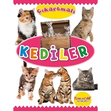 Çıkartmalı Kediler- Yumurcak Yayınları