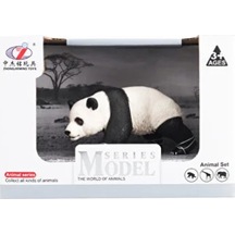 Kutulu Model Yürüyen Panda