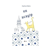 Ne Acayip - Ceyhun Balcı - Şule Yayınları
