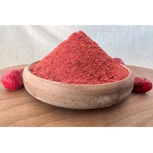 Freeze Dried Çilek Toz 1 KG