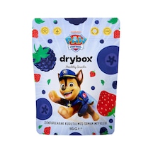 Drybox Paw Patrol Freeze Dried Dondurularak Kurutulmuş Orman Meyveleri 16 G - 8 Adet Tarı
