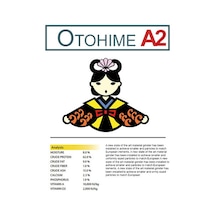 Otohime A2 Yavru Balık Yemi 150micron 100gr. Açık