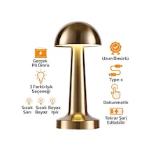 Oval - Metal Mantar Masa Lambası Dokunmatik - Renkli Type-c Şarjlı 3 Fonksiyonlu Yl86-1231 Bx40 Çok Renkli