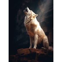 Kayanın Üzerinde Uluyan Kurt Poster