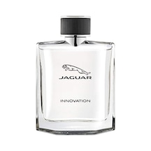 Innovation Edt 100 Ml Erkek Parfüm Diğer