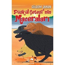 Püskül Çetesi'nin Maceraları - Güldem Şahan - Eksik Parça