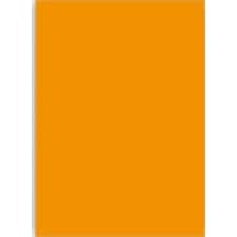 BP FON KARTONU 50X70 160 GR.TURUNCU 100LÜ
