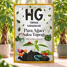 Hg Para Ağacı Saksı Toprağı 10 L