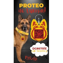 Petjoo 24.Proteo Kırmızı-Sarı Qr'lı Köpek Künyesi