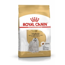 Royal Canin Maltese Terrier Yetişkin Köpek Maması 1500 G