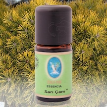 Defne Nuka Essencia Sarı Çam Yağı 10 ML