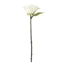 Ikea Smycka Yapay Kamelya Dalı 28 Cm Yeşil Bej Beyaz Bej - Beyaz