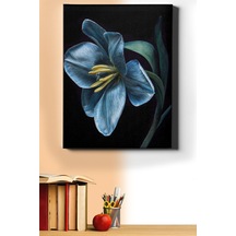 Webstyle Sayılarla Boyama Seti Kasnaklı Nilüfer 2 50 X 65 Cm