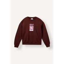 Defacto Hello Kitty Relaxed Fit Bisiklet Yaka Baskılı Sweatshirt Kız Çocuk I5073a826aubr162 Bordo-br162