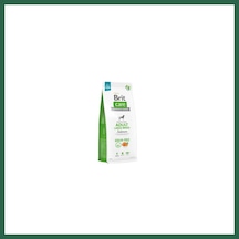Brit Care Skin Coat Adult Large Breed Somonlu Büyük Irk Tahılsız Yetişkin Köpek Maması 12 Kg Bzs01