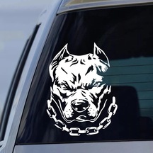 21927 Altın-19x25 Cm-ck21927 Pitbull Köpek Araba Sticker Su Geçirmez Vinil Süslü Çıkartmalar Pegatinas Para Coche A