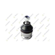 Teknorot Rotıl Hyundaı Atos 1.0 98 AOD-TEKNOROT HY-605