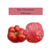 Köy Domatesi Tohumu 1 Paket 3GR=850+ Adet Domates Tohumu