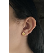 Fiyonk Kuyumculuk 14 Ayar Altın Reşat Görünümlü Plaka Küpe 001