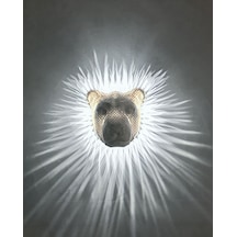 Aslan Gece Lambası Beyaz