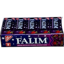 Falım Orman Meyveleri Aromalı Şekersiz Sakız 20 x 7 G