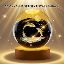 Cosmotex Lazer İşlemeli Yunus Kristal Küre Sıcak Işıklı Ahşap Standlı