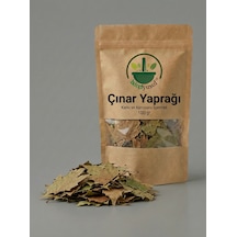 Çınar Yaprağı Çınar Ağacı Yaprağı Kurutulmuş Bitki Çayı 100 G Doğal
