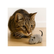 Kurmalı Kedi Oyuncağı Hareketli Fare Tasarımı