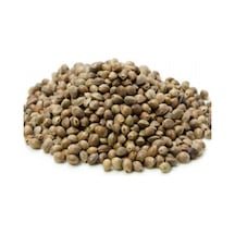 Sanita Kenevir Tohumu - Kendir - Çedene 500 GR