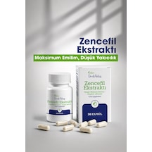 Dr. Ümit Aktaş Zencefil Ekstraktı 30 Kapsül