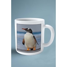 Penguen Baskılı Kupa Bardak Çift Taraflı Kişiye Özel Çerçeveli Renkli Model 4 Çok Renkli