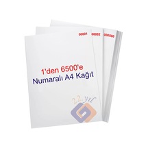 1 Den 6500 E Numaralı A4 Fotokopi Kağıdı