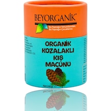 Beyorganik Organik Kozalaklı Kış Macunu 240 G