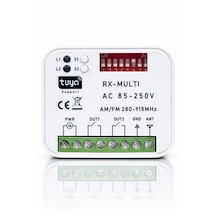 Alpsmart As865 Wi-fi Ve 433 Mhz Akıllı Tuya Destekli Bariyer, Kayar Kapı, Kepenk Kontrol Kartı Çift Kanal