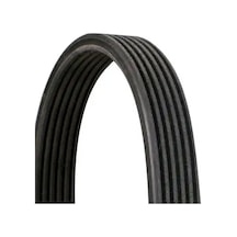 Contıtech 6dpk1825 6pk1825 Kayis 0pb903137e 30731811 30731862